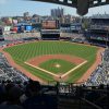 New York Yankees appoint sport’s first environmental science advisor